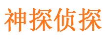 阳朔侦探公司